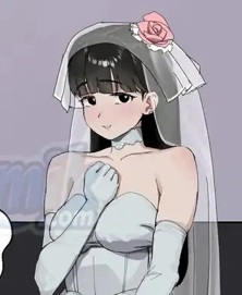 Cerita Dewasa Pengantin yang Dihajar Orang Lain